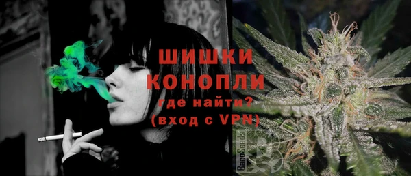 твердый Абаза