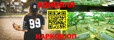 mdpv Ярославль