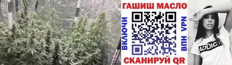 Дистиллят ТГК гашишное масло  ссылка на мегу зеркало  Новоалександровск  как найти закладки 