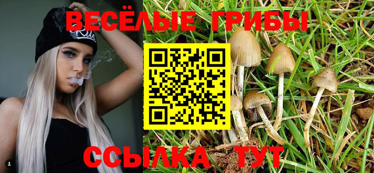 Новоалександровск  Галлюциногенные грибы GOLDEN TEACHER  Вход с VPN 